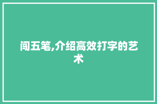 闯五笔,介绍高效打字的艺术