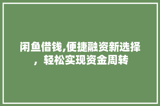 闲鱼借钱,便捷融资新选择，轻松实现资金周转