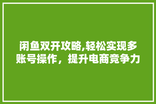 闲鱼双开攻略,轻松实现多账号操作，提升电商竞争力 Web前端