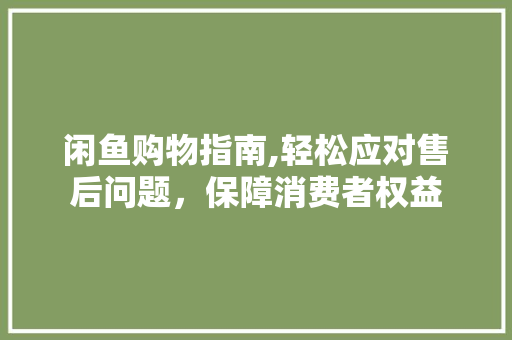 闲鱼购物指南,轻松应对售后问题，保障消费者权益