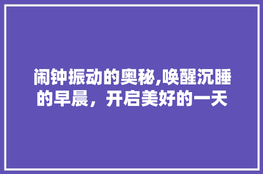 闹钟振动的奥秘,唤醒沉睡的早晨，开启美好的一天 友链在线