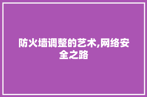 防火墙调整的艺术,网络安全之路