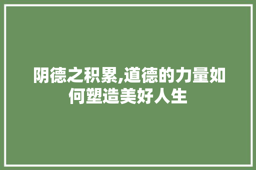 阴德之积累,道德的力量如何塑造美好人生