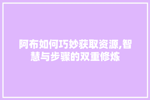 阿布如何巧妙获取资源,智慧与步骤的双重修炼