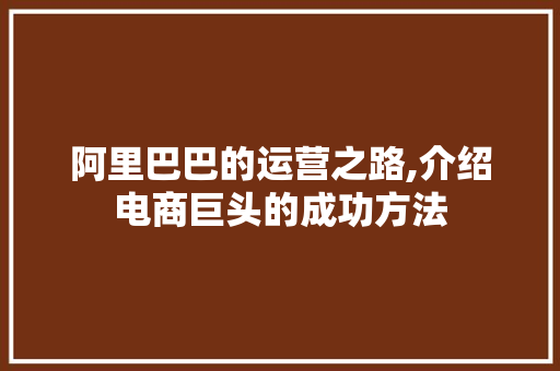 阿里巴巴的运营之路,介绍电商巨头的成功方法