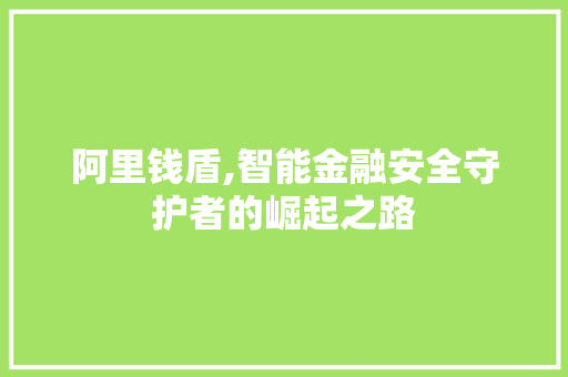 阿里钱盾,智能金融安全守护者的崛起之路
