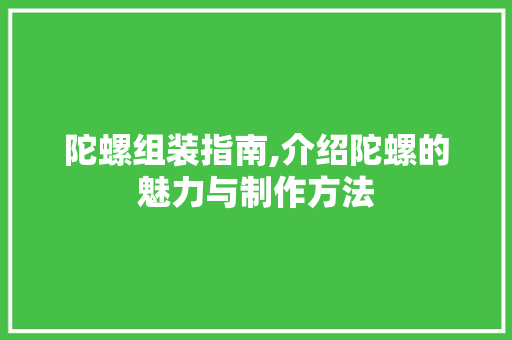 陀螺组装指南,介绍陀螺的魅力与制作方法