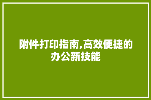附件打印指南,高效便捷的办公新技能