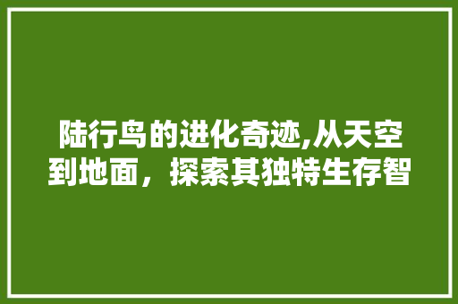 陆行鸟的进化奇迹,从天空到地面，探索其独特生存智慧