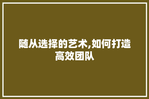 随从选择的艺术,如何打造高效团队
