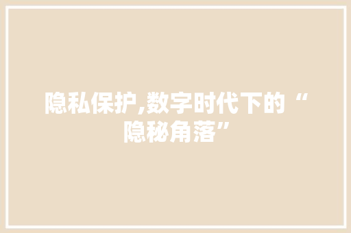 隐私保护,数字时代下的“隐秘角落” SEO教程