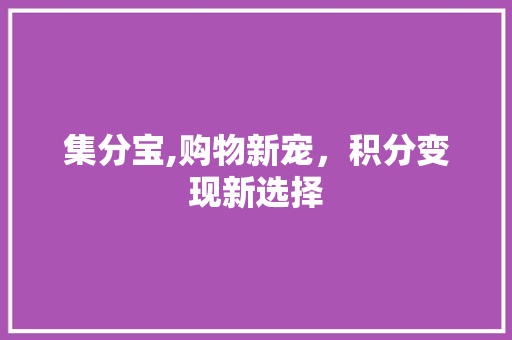 集分宝,购物新宠，积分变现新选择 建站教程