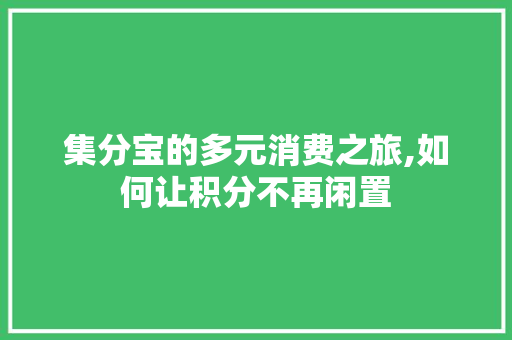 集分宝的多元消费之旅,如何让积分不再闲置 服务器/数据库