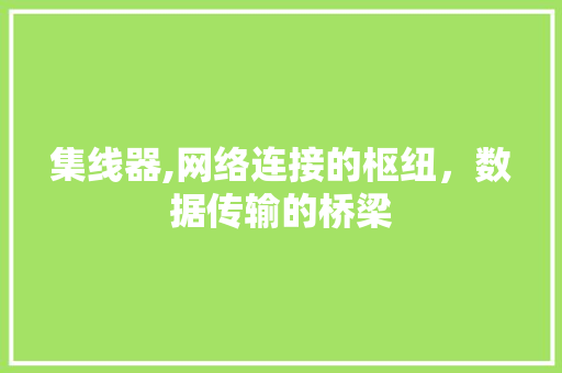 集线器,网络连接的枢纽，数据传输的桥梁