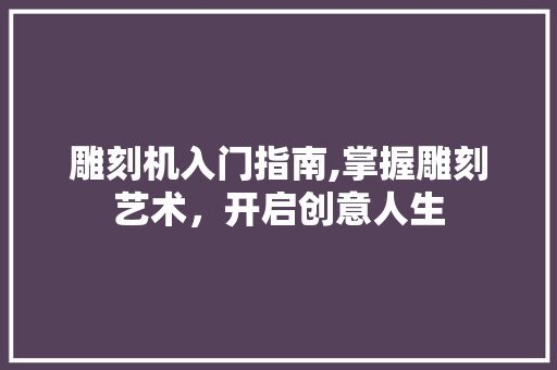 雕刻机入门指南,掌握雕刻艺术，开启创意人生