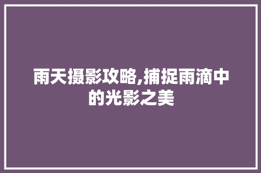雨天摄影攻略,捕捉雨滴中的光影之美