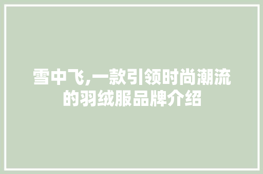 雪中飞,一款引领时尚潮流的羽绒服品牌介绍