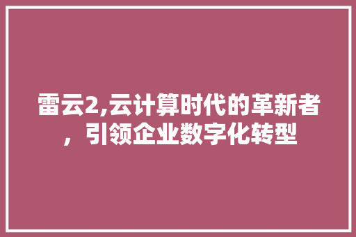 雷云2,云计算时代的革新者，引领企业数字化转型