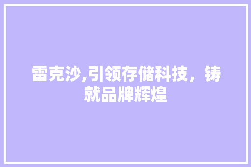 雷克沙,引领存储科技，铸就品牌辉煌
