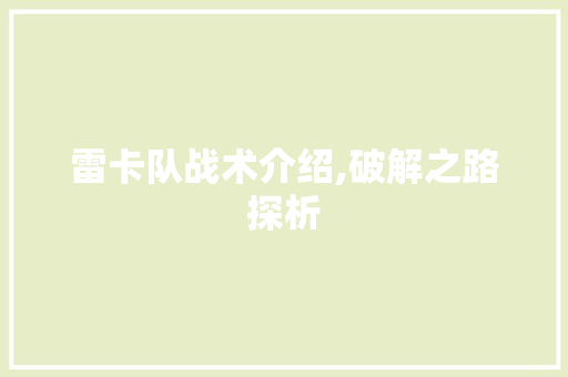 雷卡队战术介绍,破解之路探析