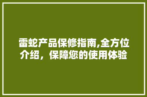 雷蛇产品保修指南,全方位介绍，保障您的使用体验