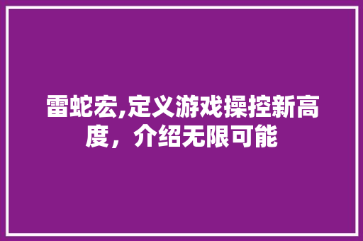 雷蛇宏,定义游戏操控新高度，介绍无限可能 建站教程