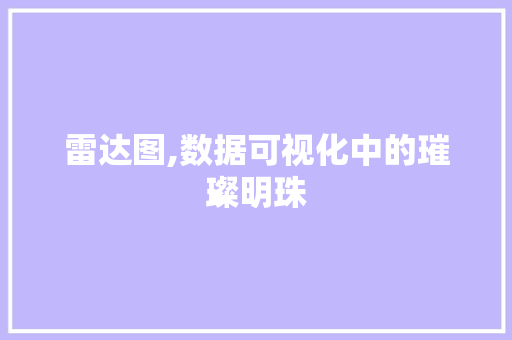 雷达图,数据可视化中的璀璨明珠
