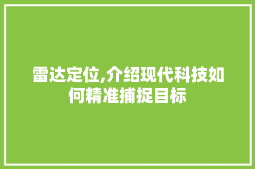 雷达定位,介绍现代科技如何精准捕捉目标