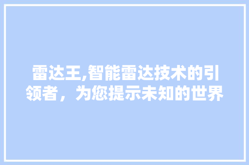 雷达王,智能雷达技术的引领者，为您提示未知的世界