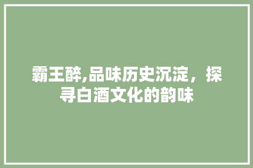 霸王醉,品味历史沉淀，探寻白酒文化的韵味