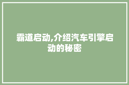 霸道启动,介绍汽车引擎启动的秘密