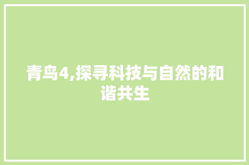 青鸟4,探寻科技与自然的和谐共生 SEO教程
