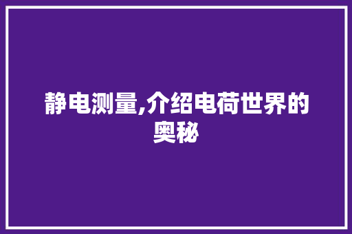 静电测量,介绍电荷世界的奥秘 服务器/数据库