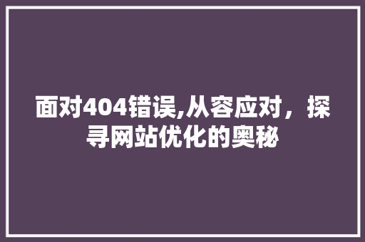 面对404错误,从容应对，探寻网站优化的奥秘