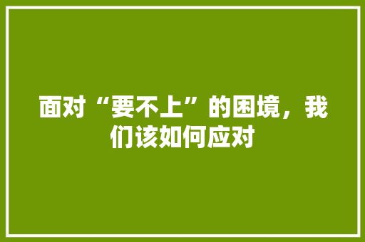 面对“要不上”的困境，我们该如何应对
