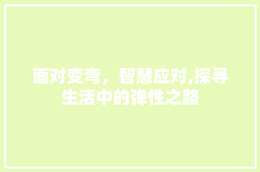 面对变弯，智慧应对,探寻生活中的弹性之路