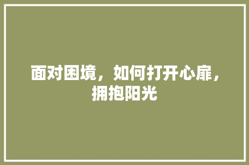 面对困境，如何打开心扉，拥抱阳光 服务器/数据库