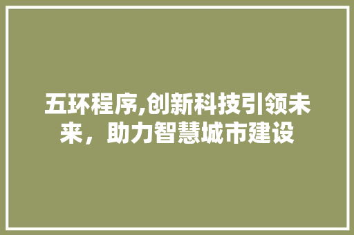 五环程序,创新科技引领未来，助力智慧城市建设