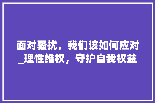 面对骚扰，我们该如何应对_理性维权，守护自我权益 WordPress教程