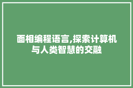 面相编程语言,探索计算机与人类智慧的交融