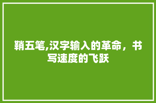 鞘五笔,汉字输入的革命，书写速度的飞跃 Web前端