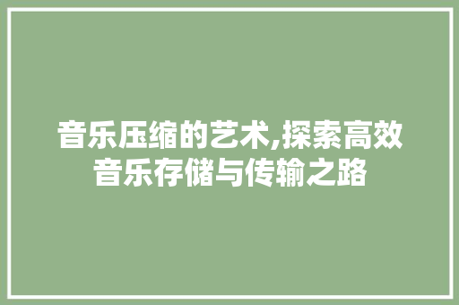 音乐压缩的艺术,探索高效音乐存储与传输之路
