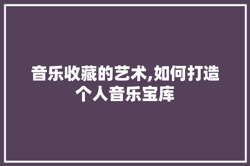 音乐收藏的艺术,如何打造个人音乐宝库