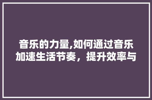 音乐的力量,如何通过音乐加速生活节奏，提升效率与幸福感