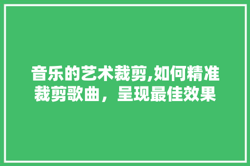 音乐的艺术裁剪,如何精准裁剪歌曲，呈现最佳效果 WordPress教程