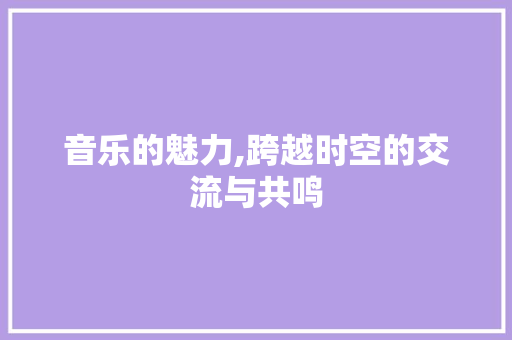 音乐的魅力,跨越时空的交流与共鸣