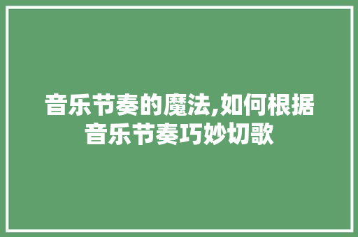 音乐节奏的魔法,如何根据音乐节奏巧妙切歌
