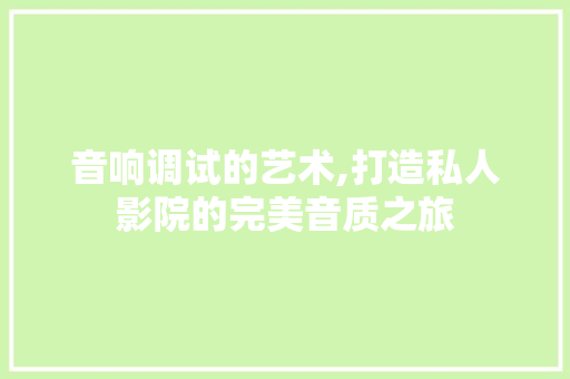 音响调试的艺术,打造私人影院的完美音质之旅