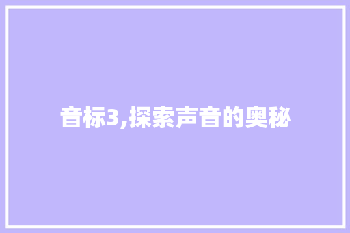 音标3,探索声音的奥秘