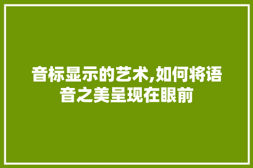 音标显示的艺术,如何将语音之美呈现在眼前 SEO教程